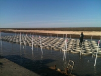 Rockefeller OysterBreak Shoreline Stabilization Gallery